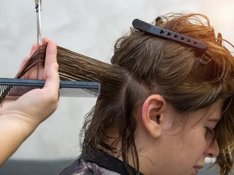 Get rid of split ends. cutting a client's hair with scissors in a beauty salo Stock Photos