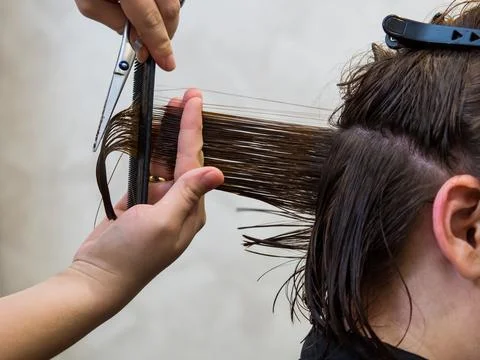 Get rid of split ends. cutting a client's hair with scissors in a beauty salo Stock Photos