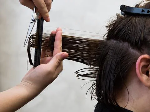 Get rid of split ends. cutting a client's hair with scissors in a beauty salo Stock Photos