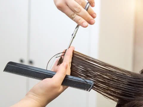 Get rid of split ends. cutting a client's hair with scissors in a beauty salo Stock Photos