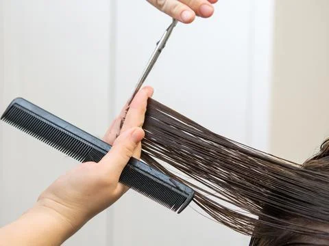 Get rid of split ends. cutting a client's hair with scissors in a beauty salo Stock Photos
