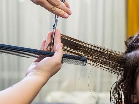 Get rid of split ends. cutting a client's hair with scissors in a beauty salo Stock Photos