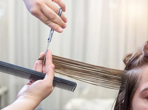 Get rid of split ends. cutting a client's hair with scissors in a beauty salo Stock Photos