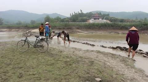 Get water to the field Stock Footage 67316641
