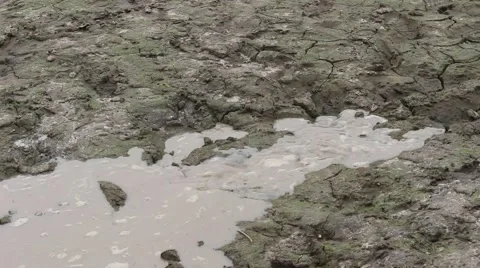 Get water to the field Video stock 67321999