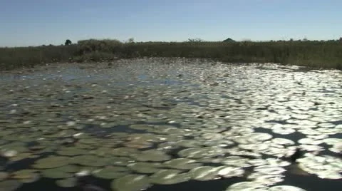 Getting Around the Okavango Delta during its Annual Flood - 9 Video stock 22148410