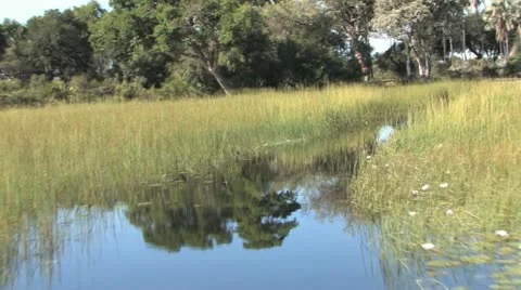 Getting Around the Okavango Delta during its Annual Flood - 10 Stock Footage 22148435
