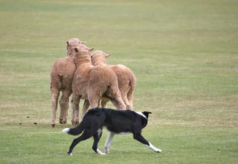 Getting away Stock Photos