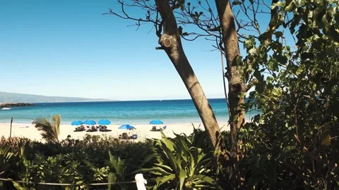 Getting to the Beach in Hawaii. Stock Footage 243876007