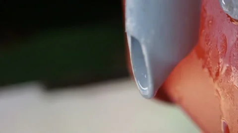 Getting A Drink of Water Vídeo Stock 1808411