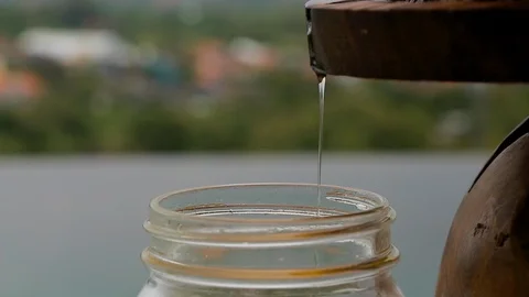 Getting essential oil from herbs and flowers in a glass flask, Distillation Stock Footage 123482153