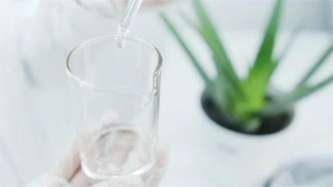 Getting an extract from leaves of aloe vera. Stock Footage 148726619