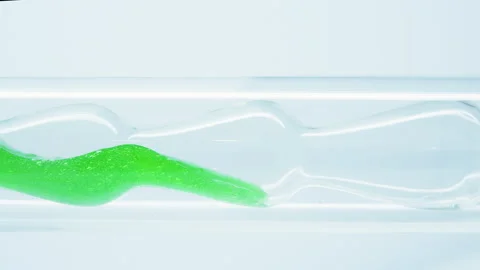Getting an extract from leaves of aloe vera. Stock Footage 242753493