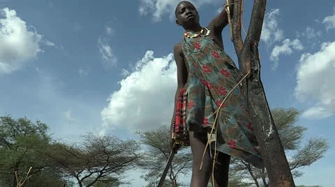 Getting Firewood Stock Footage 23084079