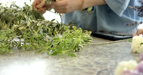 Getting Greenery Ready for a Bouquet Stock Footage 89881486