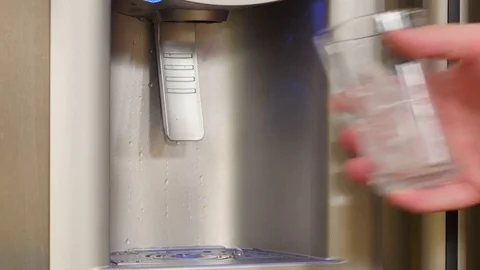 Getting Ice from an Ice Maker Stock Footage 81530255