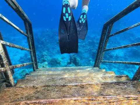 Getting to know the underwater world Stock Photos