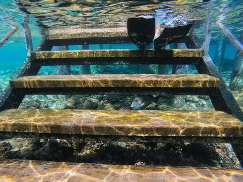 Getting to know the underwater world Stock Photos