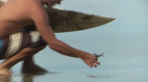 Getting Pinched By A Crab Stock Footage 1067700