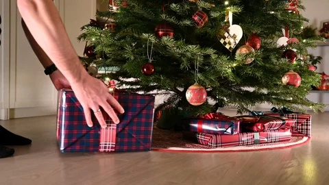 Getting present for christmas and collecting it from underneath the tree Stock Footage 116035488