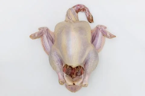 Getting raw turkey ready for cooking. Stock Photos