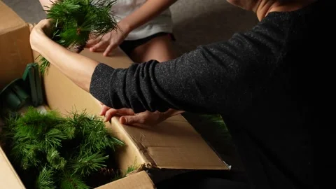 Getting ready to decorate the Christmas tree. Close-up of a woman and a chi.. Stock Footage 295799958