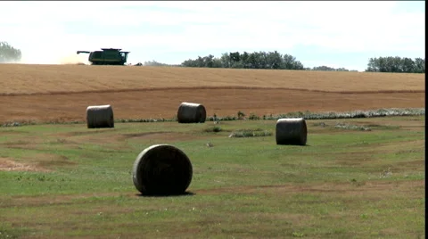 Getting Ready to Plant Stock Footage 54707917