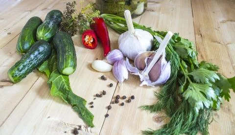 Getting ready for winter Stock Photos