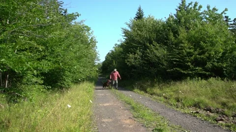 Getting some exercise Stock Footage 246873998