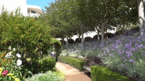 The Getty Center Museum Outside View of the Garden, in Los Angeles, on 5 Stock Footage 116348845