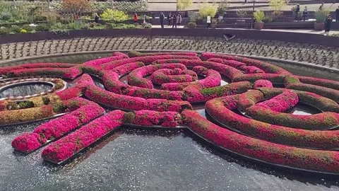 The Getty Garden, CA, USA Stock Footage 236416977