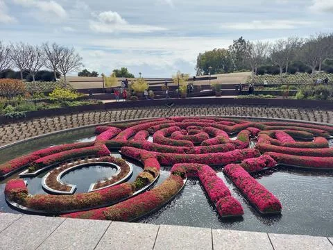 The Getty Stockfoto's