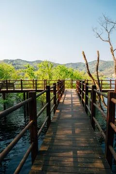 Geumgwang Lake wooden deck walkway at summer in Anseong, Korea Stock Photos