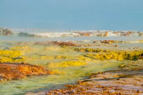 Geyser bacteria close-up Stock Photos
