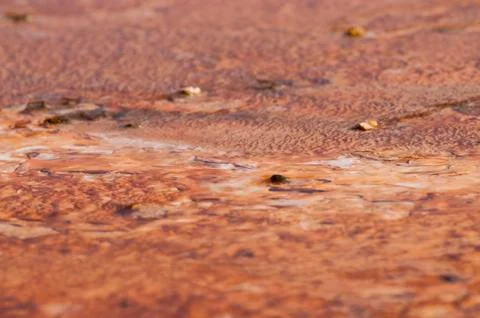 Geyser bacteria close-up Stock Photos
