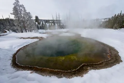 Geyser basin in winter Foto stock