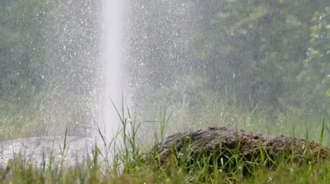 Geyser behind the grass Stock Footage 49802251