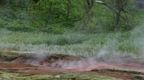 Geyser Stock-Footage 585904