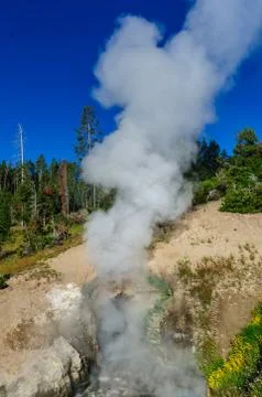 Geyser at Mud Volcano Stock Photos