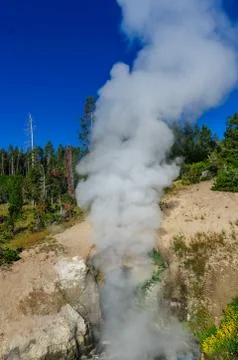 Geyser at Mud Volcano Stock Photos