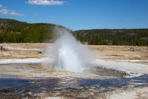 Geyser Stock Photos