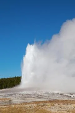 Geyser Foto stock