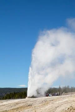 Geyser Stock Photos
