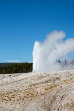 Geyser Stock Photos