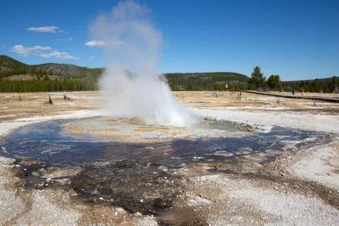 Geyser Stock Photos
