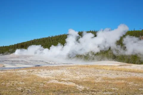 Geyser Stock Photos