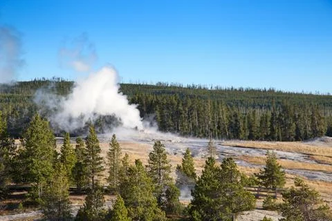 Geyser Stock Photos