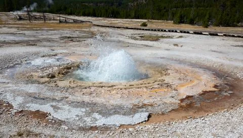 Geyser Stock Photos
