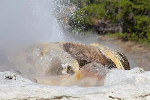 Geyser Foto stock