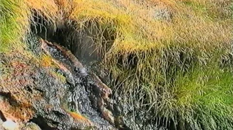 Geyser in the rock Stock Footage 8760349